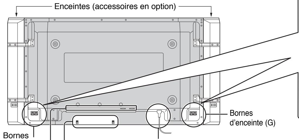 PANASONIC TH-42PHD7EK - Raccordements - 1