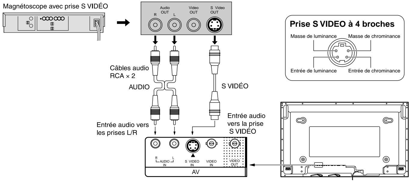 PANASONIC TH-50PHD5RY - Raccordements aux bornes d'entrée AV - 1