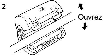 PANASONIC TH-50PHD5RY - Raccordement aux bornes d'entrée d'ordinateur (PC) - 6