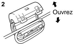 PANASONIC TH-50PHD5RY - Raccordement aux bornes d'entrée d'ordinateur (PC) - 3