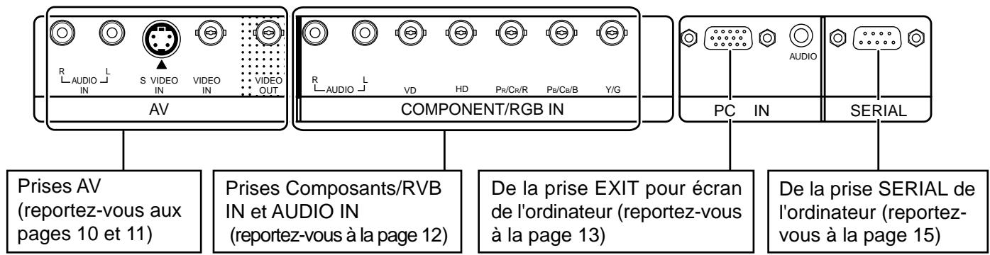 PANASONIC TH-50PHD5RY - Raccordements - 2