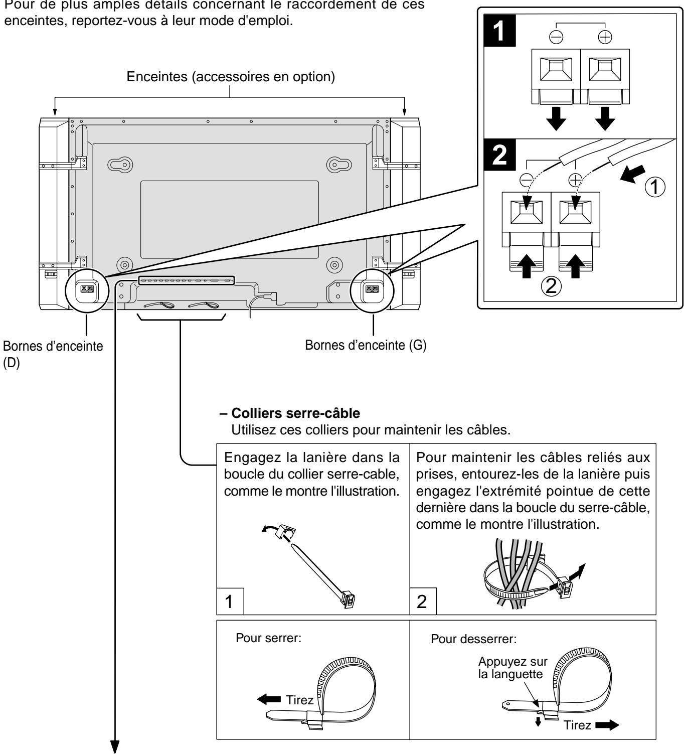 PANASONIC TH-50PHD5RY - Raccordements - 1