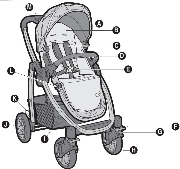 GRACO EVO TS - {GRACO EVO} - 1