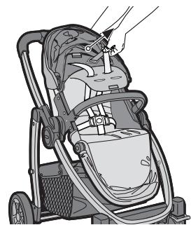 GRACO EVO TS - {Adjusting Harness Height Position} - 2
