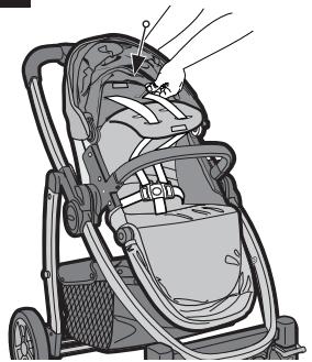 GRACO EVO TS - {Adjusting Harness Height Position} - 5