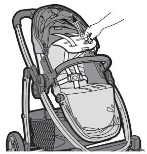 GRACO EVO TS - {Adjusting Harness Height Position} - 4