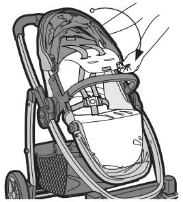 GRACO EVO TS - {Adjusting Harness Height Position} - 1
