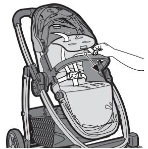 GRACO EVO TS - {Adjusting Harness Height Position} - 3