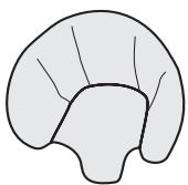 GRACO VIVO - Head Support • Coussin appui -tête • Kopfstütze für Sauglinge • Soporte para la cabeza - 1