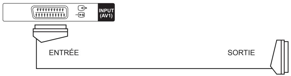 HITACHI 24F501HB1T05,  32F501HB1C01,  40F501HB01T62,  40F501HB1T62,  49F501HK2W64,  55F501HK2W64,  65F501HZ2W69 - - Prises à l'arrière - 1