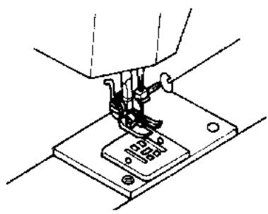 QUIGG MD11836 - Repriser - 2