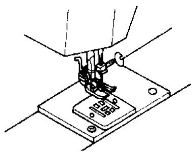 QUIGG 4015625500291761 - Repriser - 2