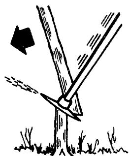JONSERED GR 50 - Déblayage forestier avec une lame de scie - 2