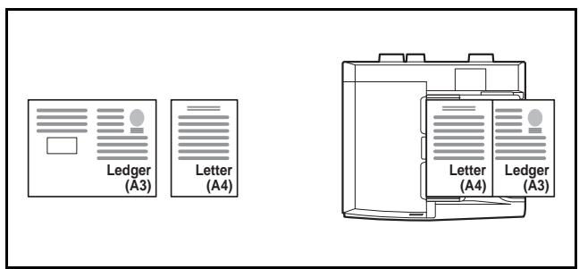 OLIVETTI D-COPIA 8000 - Originaux de largeur identique - 1