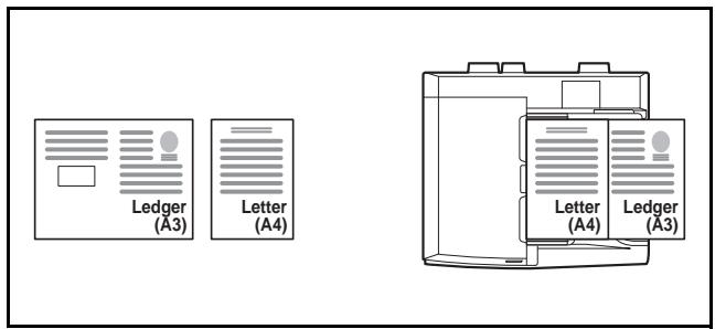 OLIVETTI D-COPIA 8000 - Mélanges d'originaux pris en charge - 1