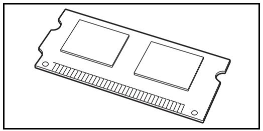 OLIVETTI D-COPIA 8000MF - Memoria di espansione - 1
