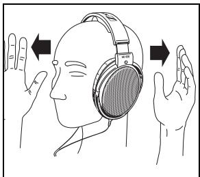 SENNHEISER HD 650 - Waarschuwing: - 2