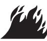 BRIGGS & STRATTON BRIGGS & STRATTON ELITE 900 WATT - WARNING - 2