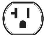 BRIGGS & STRATTON BRIGGS & STRATTON PRO 4000 - Volt AC, 20 Amp, Duplex Receptacle - 2