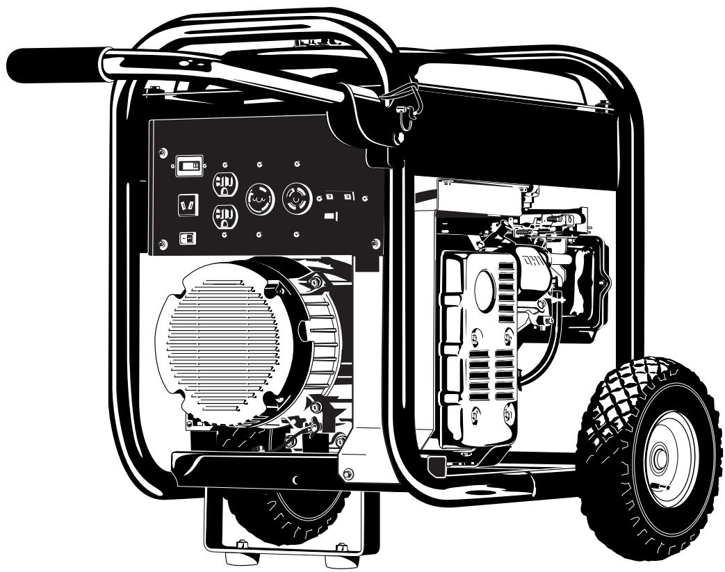 BRIGGS & STRATTON BRIGGS & STRATTON PRO 4000 - Manuel d'utilisation - 1