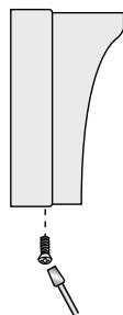 AVIDSEN EVOLUTIF 102160 - Platine de rue - 3
