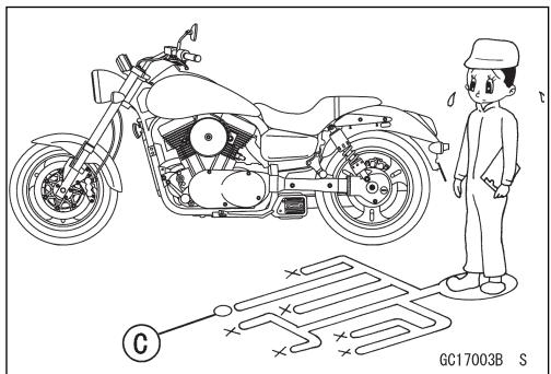 KAWASAKI VULCAN 1500 MEAN STREAK - Ubersicht - 2