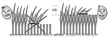 MAC ALLISTER MLMP158B&S - Dans le cas de « mulching » ou d'éjection postérieure de l'herbe - 1