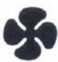ZIBRO VALERIA II - Symbole "attention - 1