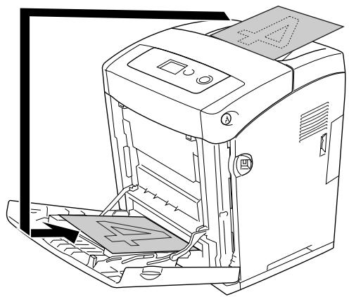 EPSON ACULASER C3800DTN, ACULASER C3800N, ACULASER C3800DN - Pour les utilisateurs de Mac OS X - 2