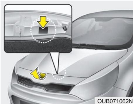 KIA RIO 2011 - ÉTIQUETTE DE FLUIDE FRIGORIGÉNE (SI ÉQUIPÉ) - 1