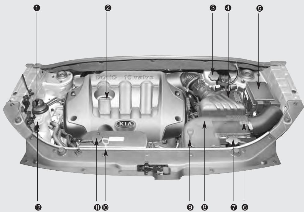 KIA SPORTAGE 2006 - Moteur 2.0L - 1