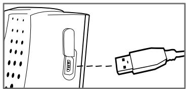 PARROT MINIKIT - nuiun nn yin - 1