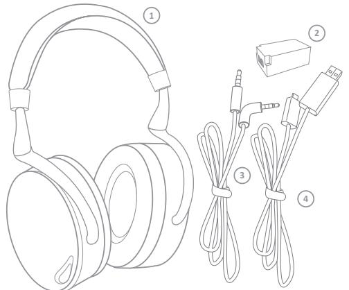 PARROT ZIK - Ingebruikname - 1