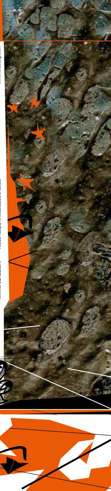 KTM MOTOCROSS - Nous déclinons toute responsabilité - 3