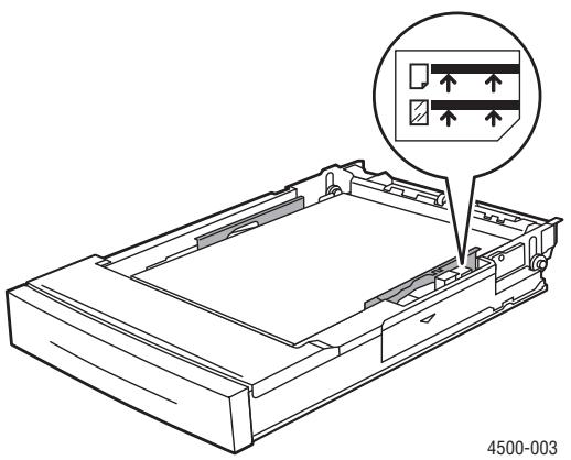 XEROX PHASER 4500 - Facheinrichtung - 6