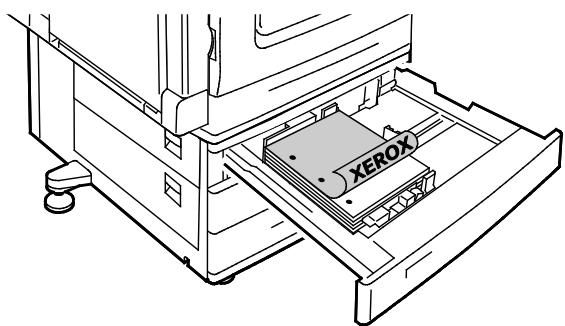 XEROX WORKCENTRE 7220 7225 - Chargement de papier dans les magasins 1 à 4 - 4