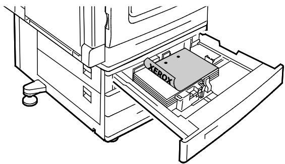 XEROX WORKCENTRE 7220 7225 - Chargement de papier dans les magasins 1 à 4 - 5