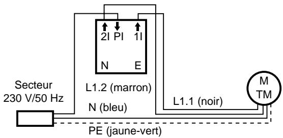 CHAMBERLAIN TM50 - Le moteur ne s'arrête pas - 2