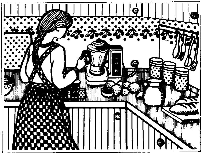 VORWERK THERMOMIX 3300 - Mise en place et branchement de l'appareil: - 1