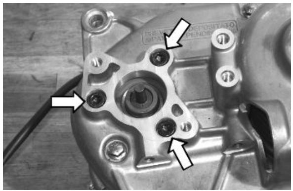 PIAGGIO MP3 500 - 020234Y extracteur - 2