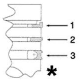 PIAGGIO MP3 500 - Joints spi - 1