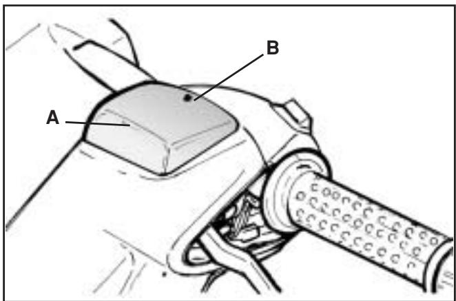 PIAGGIO X9 500 - Use the following procedure: - 1