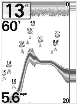 HUMMINBIRD FISHFINDER 595C - Représentation du fond - 1