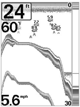 HUMMINBIRD FISHFINDER 595C - Représentation du fond - 2