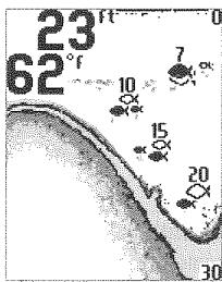 HUMMINBIRD PIRANHAMAX 150 - Affichage du fond (menu Réglages) - 3