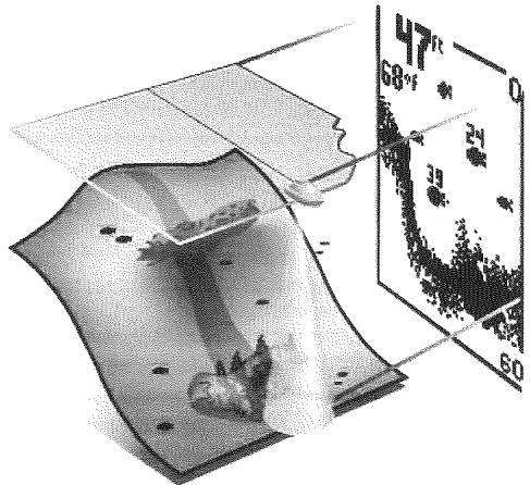 HUMMINBIRD PIRANHAMAX 150 - Technologie du sonar PiranhaMAX - 1