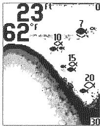 HUMMINBIRD PIRANHAMAX 160 - Affichage du fond (menu Réglages) - 1