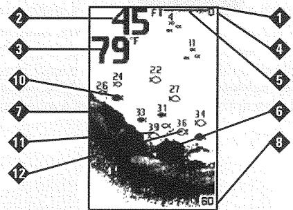 HUMMINBIRD PIRANHAMAX 160 - Représentations à l'écran - 2