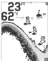 HUMMINBIRD PIRANHAMAX 190C - Affichage du fond (menu Réglages) - 4