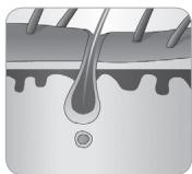 BABYLISS G934E - How does the light eliminate hair? - 7